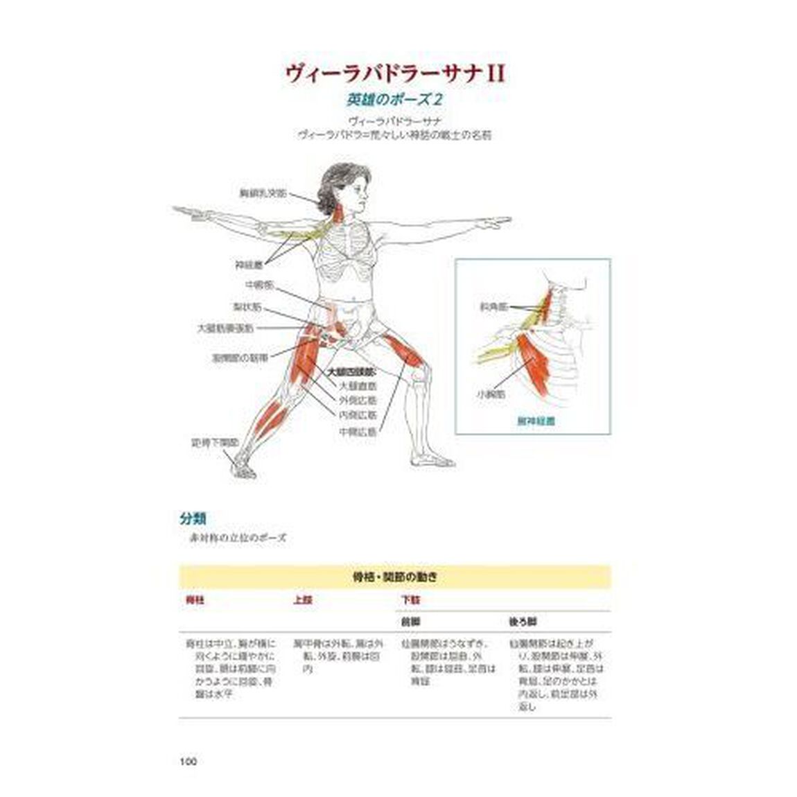レスリー・カミノフのヨガアナトミィ　ポーズ・動き・呼吸テクニックとフルカラー解剖学図解ガイド「改訂第２版」