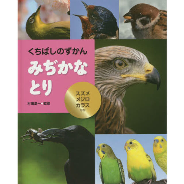 みぢかなとり　スズメ・メジロ・カラスほか