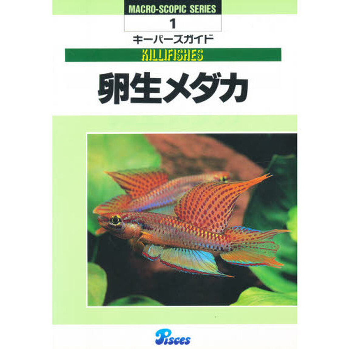 卵生メダカ