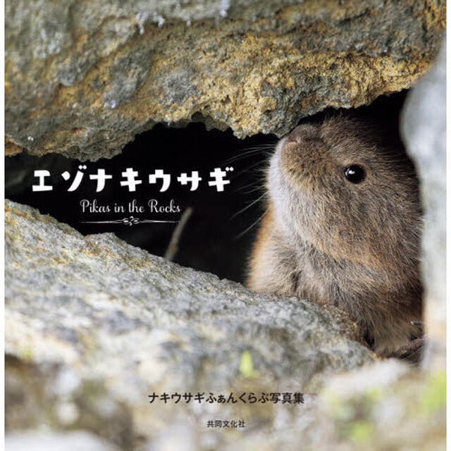 エゾナキウサギ　Ｐｉｋａｓ　ｉｎ　ｔｈｅ　Ｒｏｃｋｓ　ナキウサギふぁんくらぶ写真集