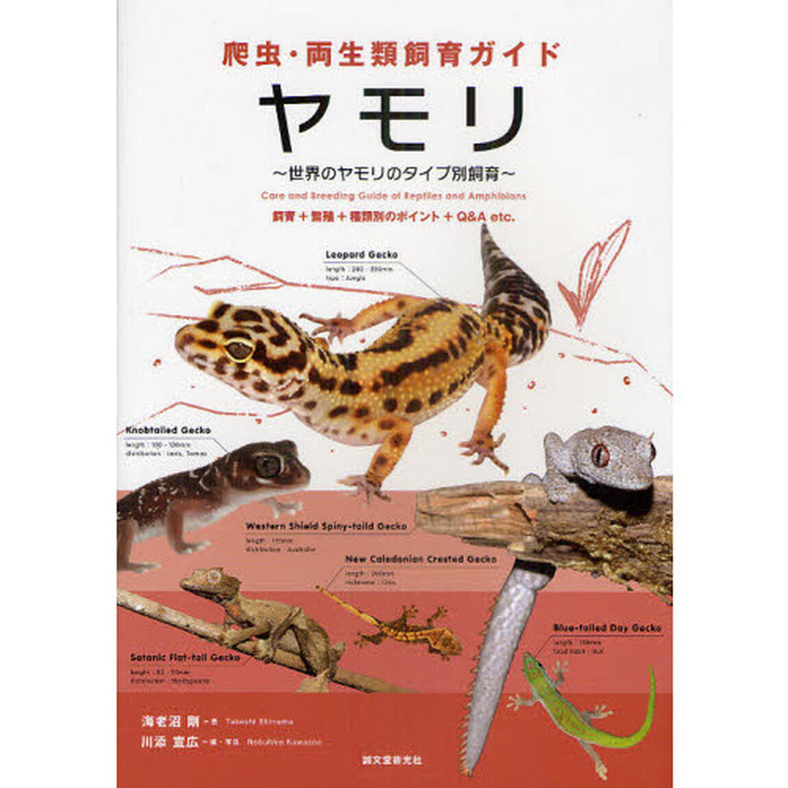 ヤモリ　世界のヤモリのタイプ別飼育　飼育＋繁殖＋種類別のポイント＋Ｑ＆Ａ　ｅｔｃ．