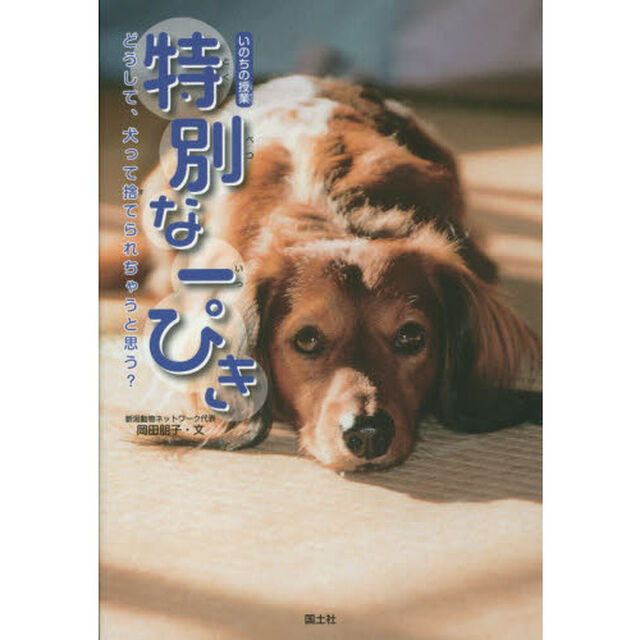 特別な一ぴき　いのちの授業　どうして、犬って捨てられちゃうと思う？