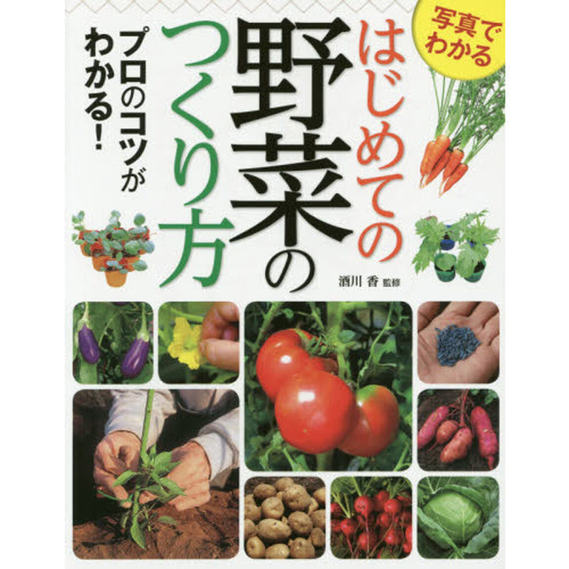 写真でわかるはじめての野菜のつくり方　プロのコツがわかる！