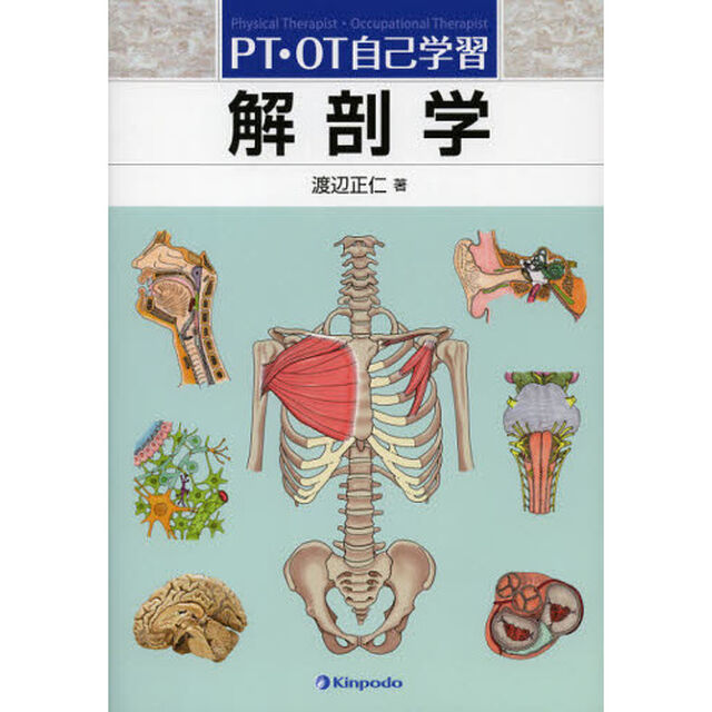 解剖学　ＰＴ・ＯＴ自己学習