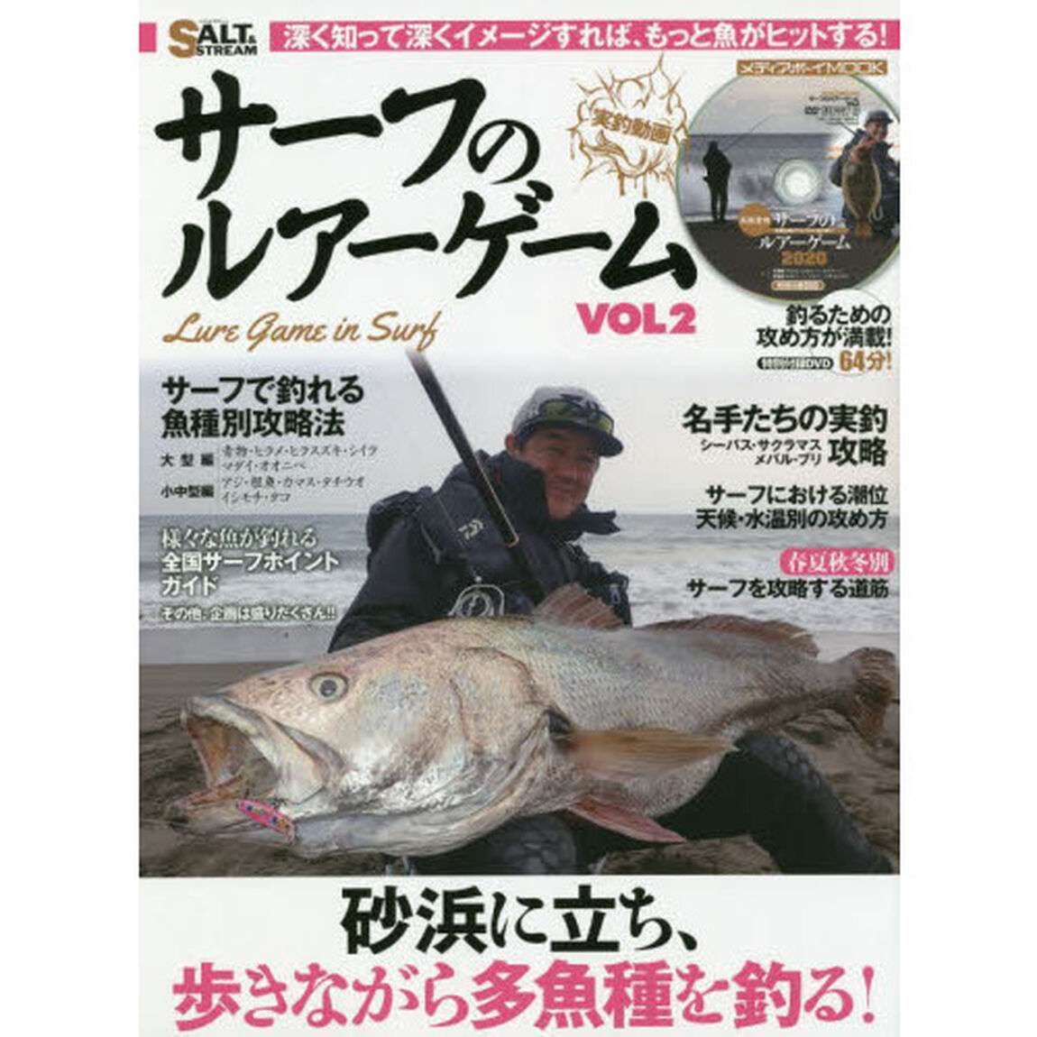 サーフのルアーゲーム　ＶＯＬ２「砂浜に立ち、歩きながら多魚種を釣る！」