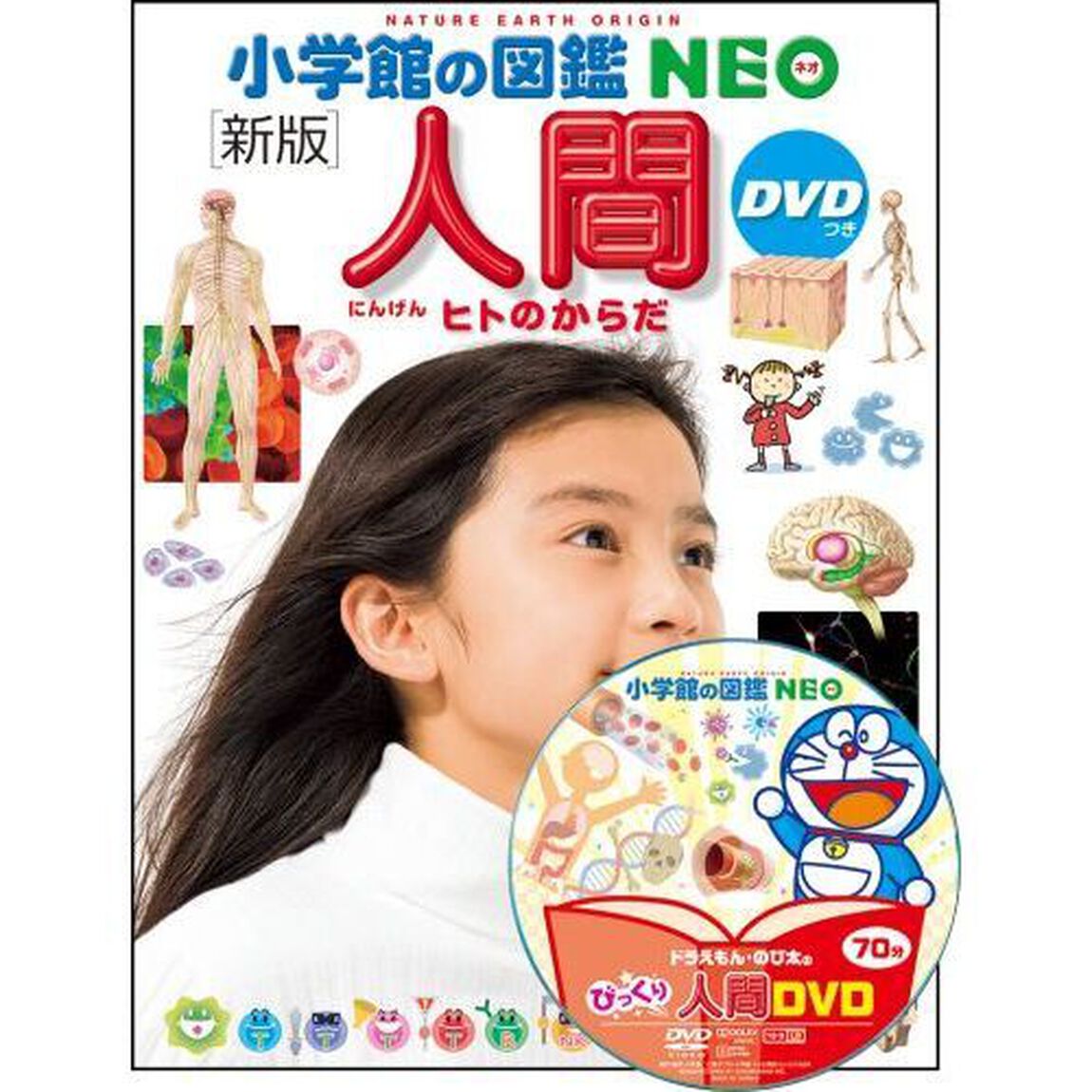 人間　ヒトのからだ「新版」