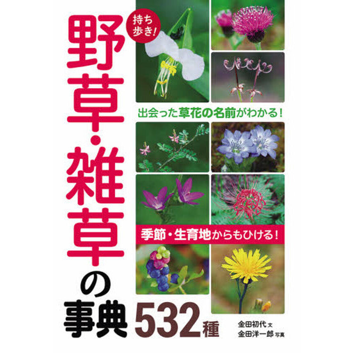 持ち歩き！野草・雑草の事典５３２種