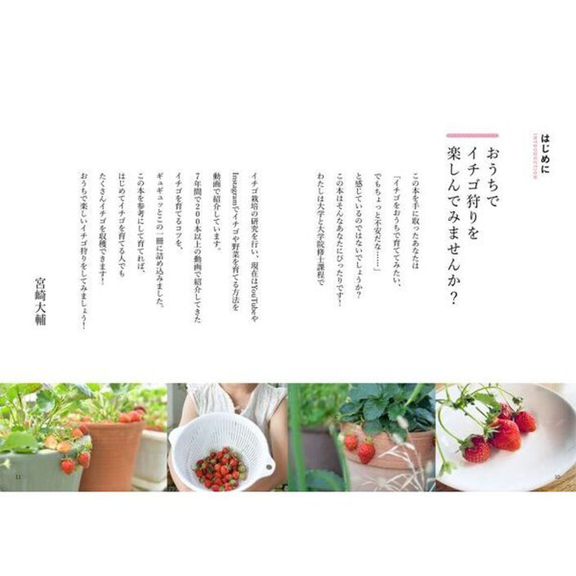 プランターでかんたんイチゴづくり　おうちで楽しくイチゴ狩り！