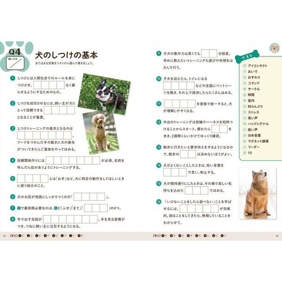 脳がみるみる若返る脳トレ犬ドリル　大好きなワンコのことだから脳に効く！