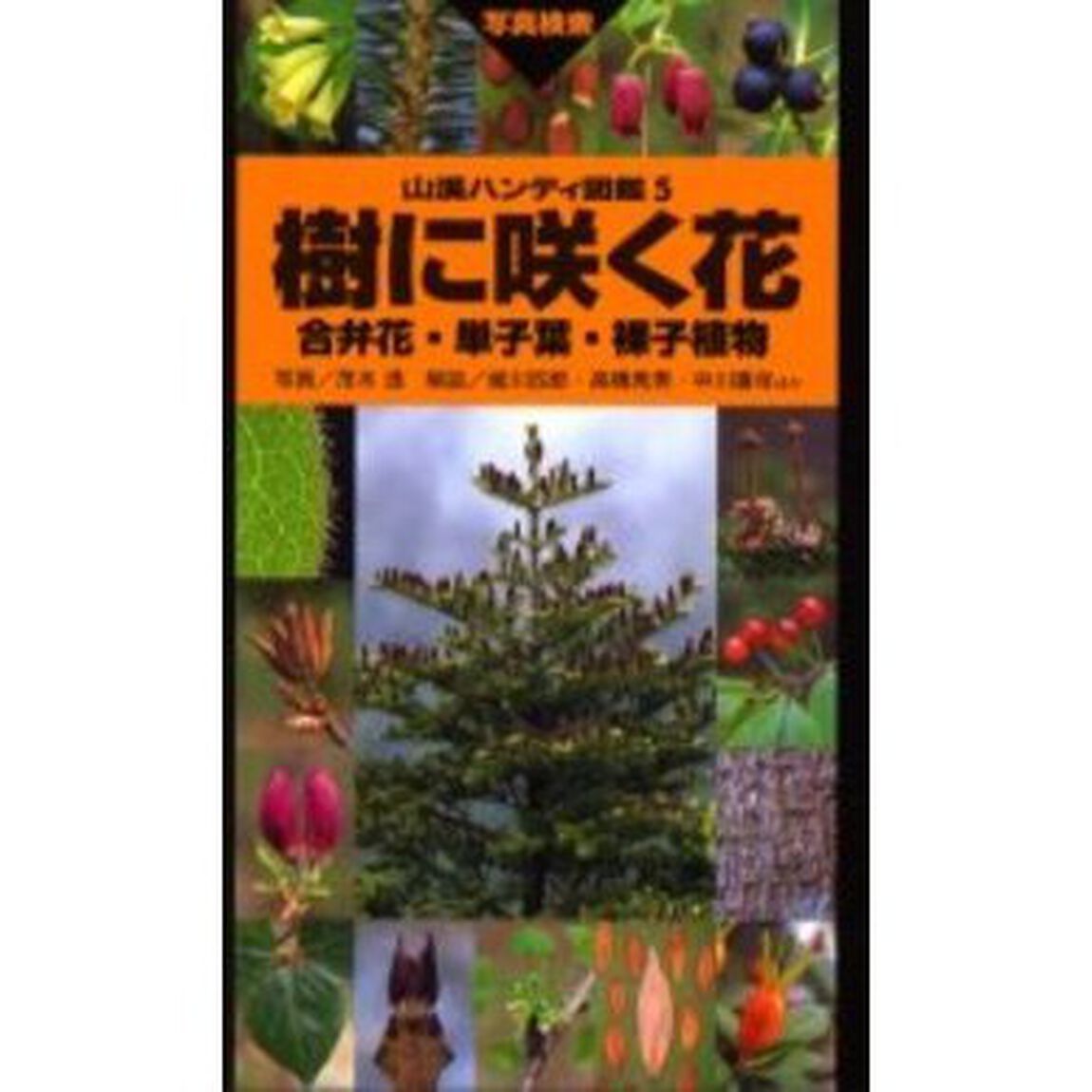 樹に咲く花　合弁花・単子葉・裸子植物「改訂第３版」