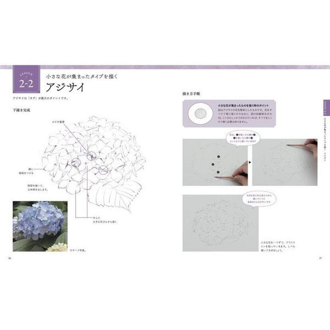 花の水彩レッスン　３つの技法でしっかり描ける