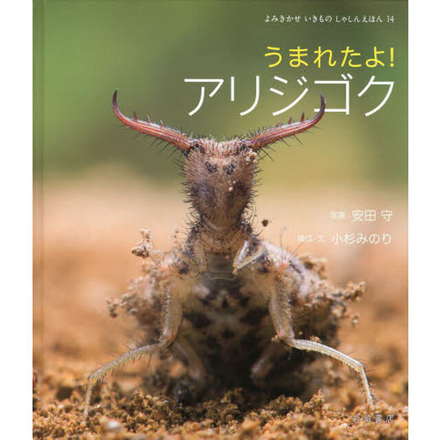うまれたよ！アリジゴク