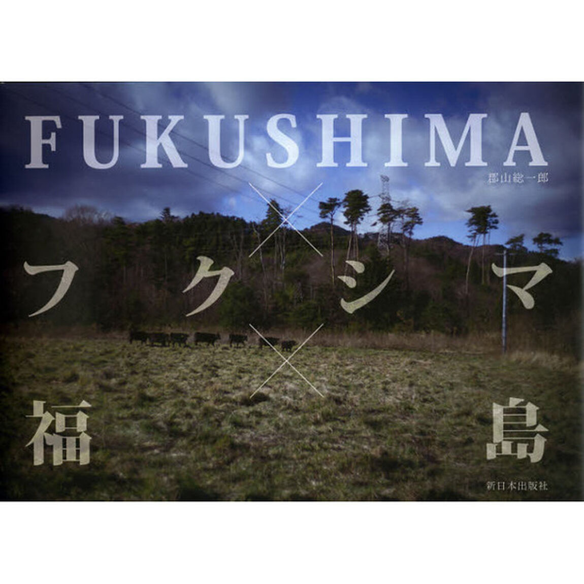 ＦＵＫＵＳＨＩＭＡ&times;フクシマ&times;福島