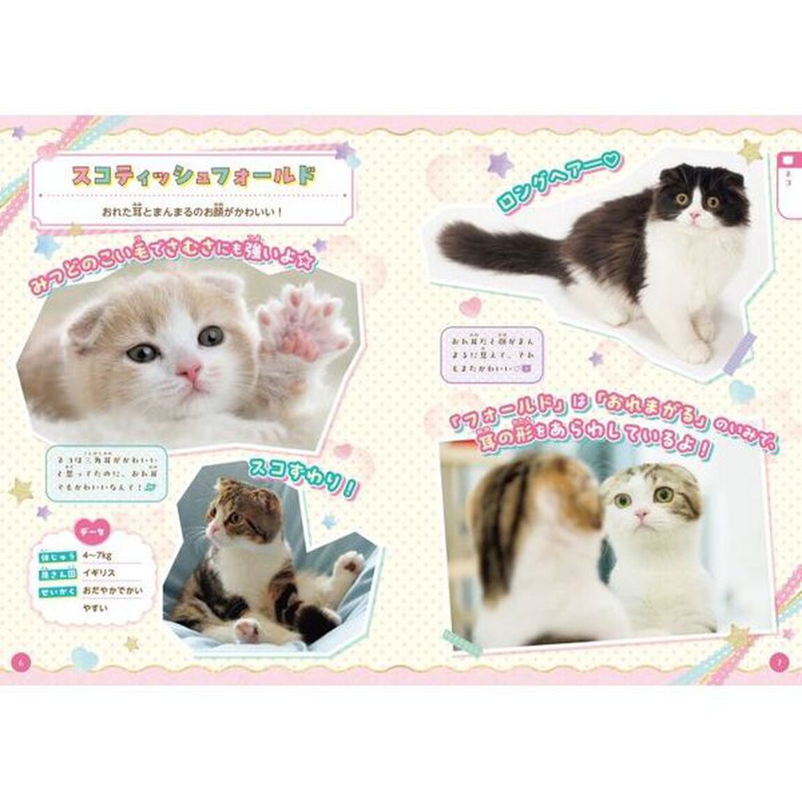 かわいいどうぶつだいしゅうごうもふもふいっぱいずかん