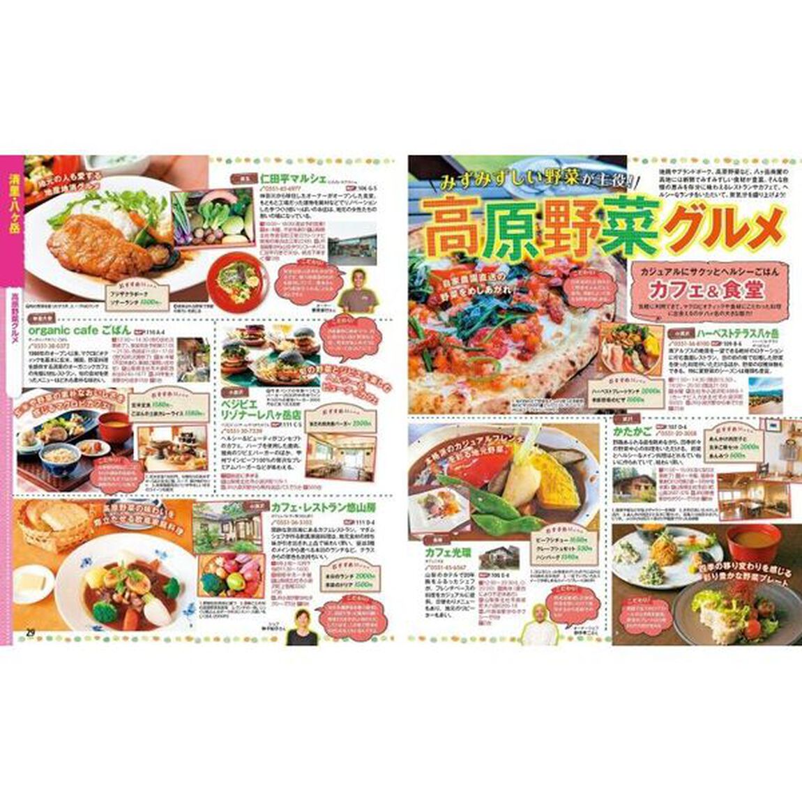 清里・八ヶ岳　蓼科　〔２０２３〕