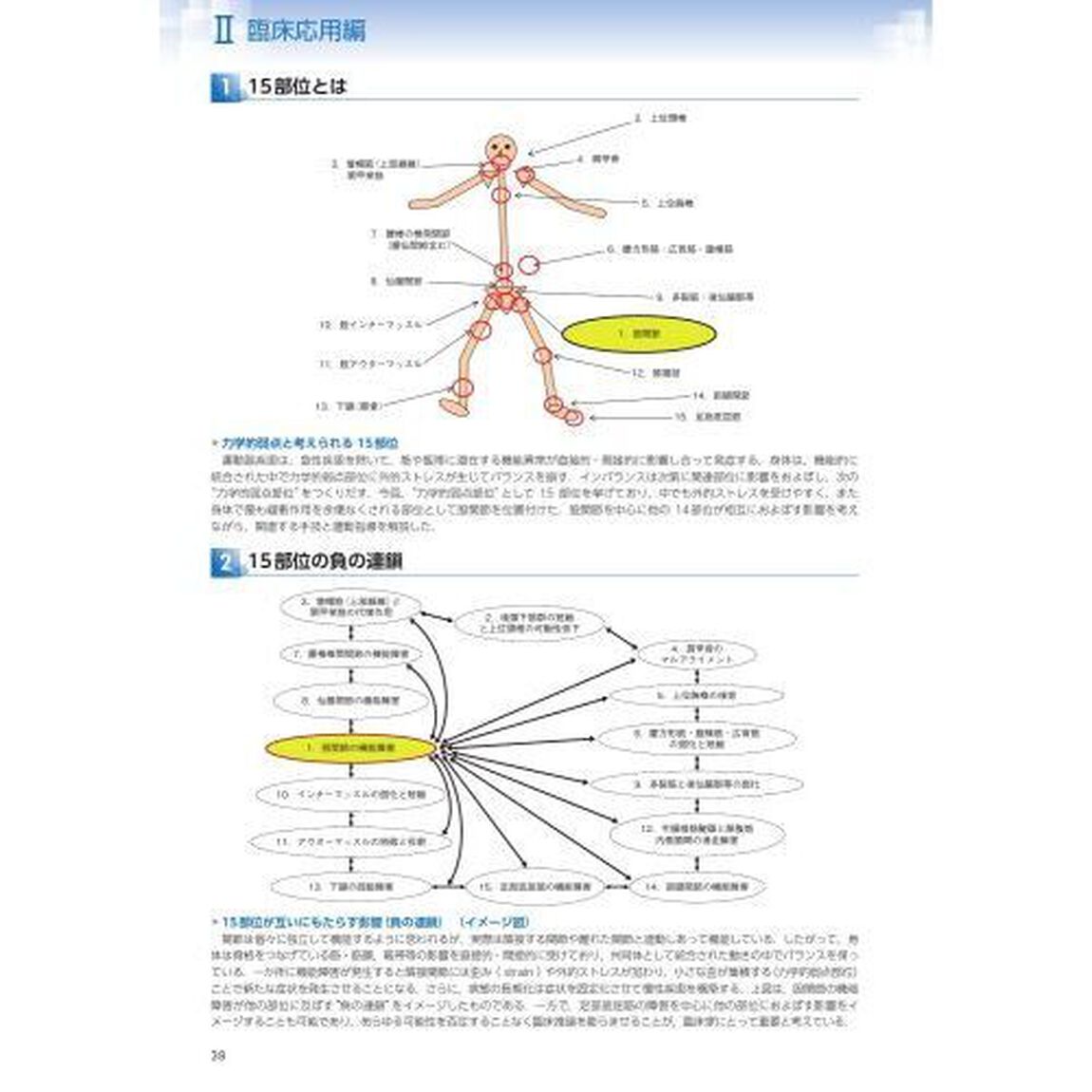 カラー写真で学ぶ柔道整復師・鍼灸師のための運動器疾患のとらえ方と臨床応用　１５の力学的弱点の知識と具体的手技