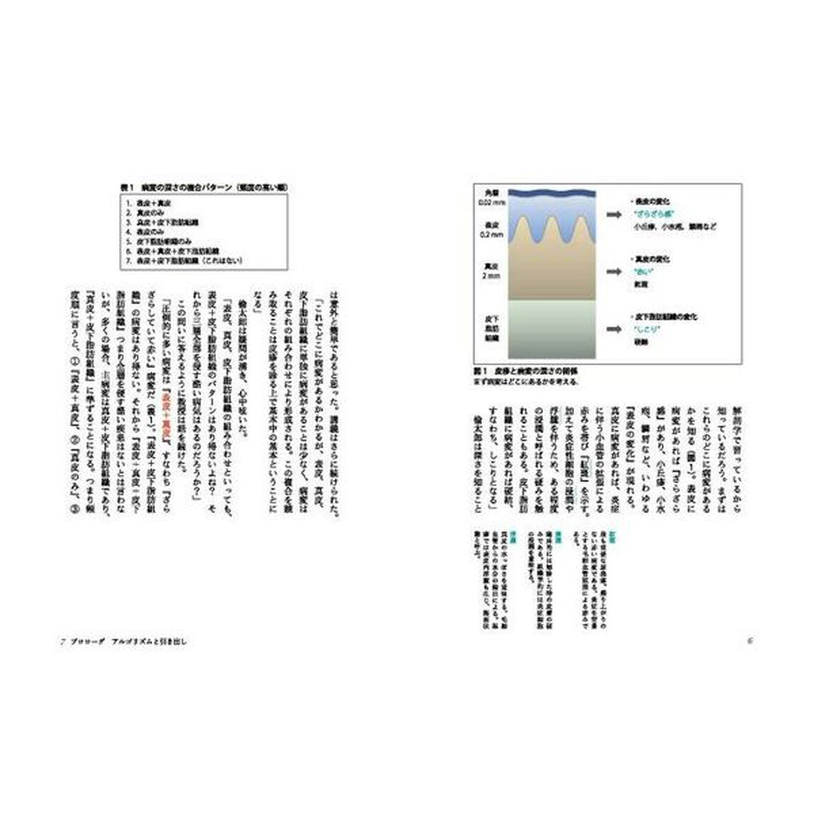 間宮家の皮膚科医