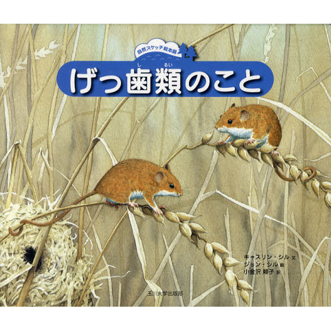 げっ歯類のこと