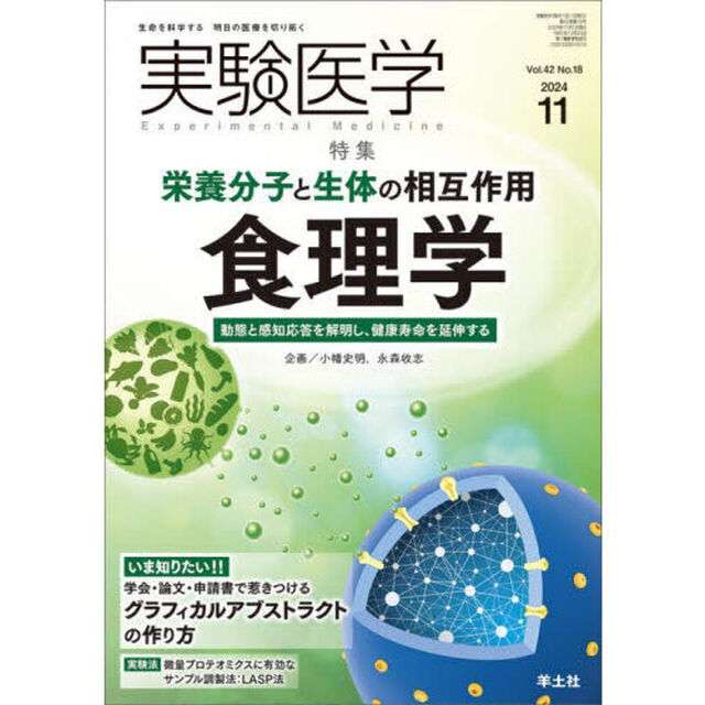 実験医学　Ｖｏｌ．４２Ｎｏ．１８（２０２４－１１）「〈特集〉食理学／グラフィカルアブストラクト」