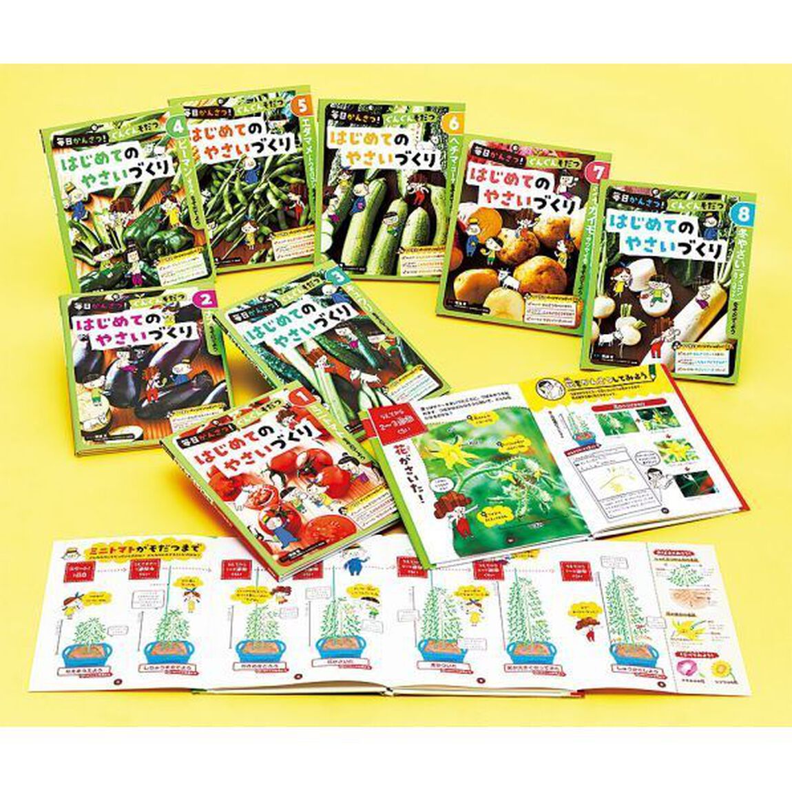 毎日かんさつ！ぐんぐんそだつはじめてのやさいづくり　８巻セット