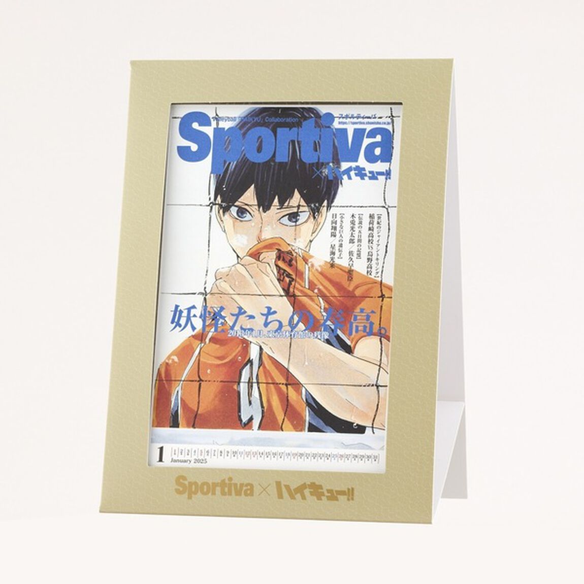 Sportiva バレーボール男子日本代表特集号