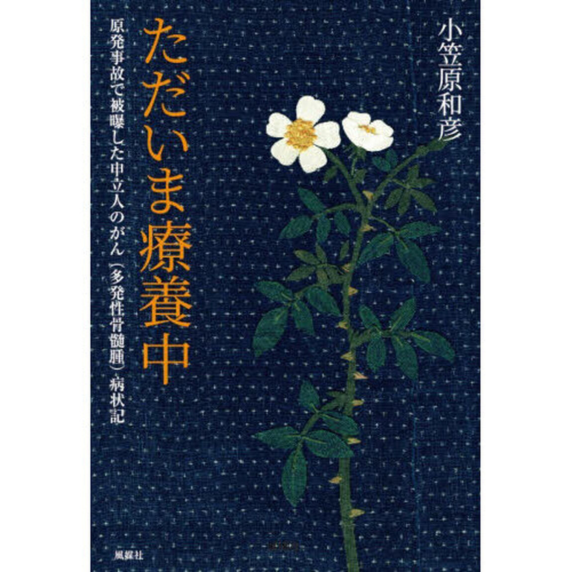 ただいま療養中　原発事故で被曝した申立人のがん（多発性骨髄腫）病状記
