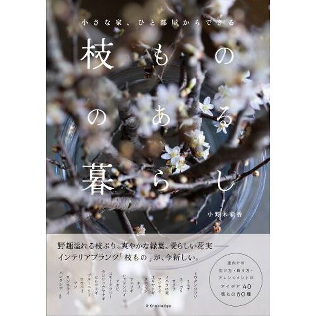 枝もののある暮らし　小さな家、ひと部屋からできる