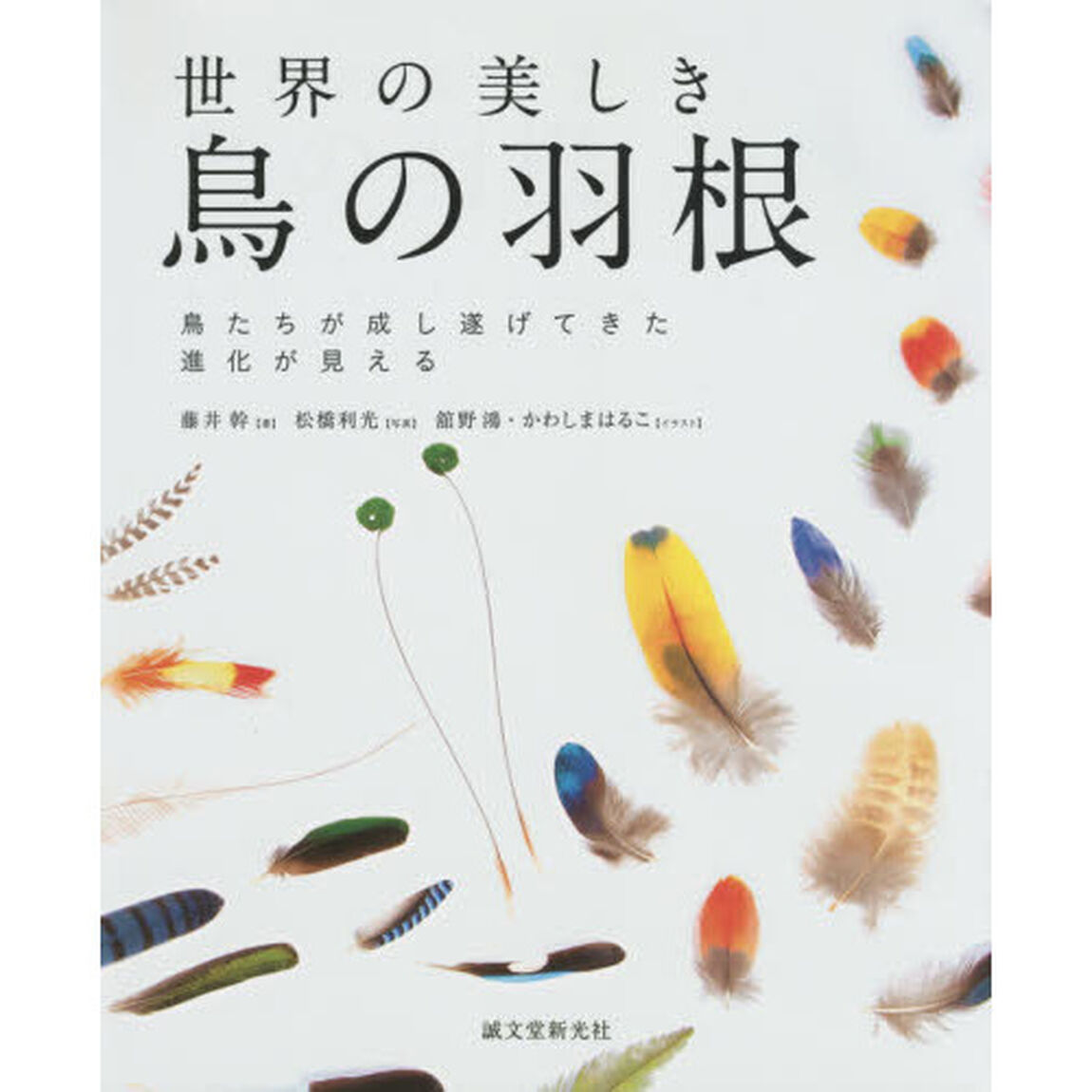 世界の美しき鳥の羽根　鳥たちが成し遂げてきた進化が見える