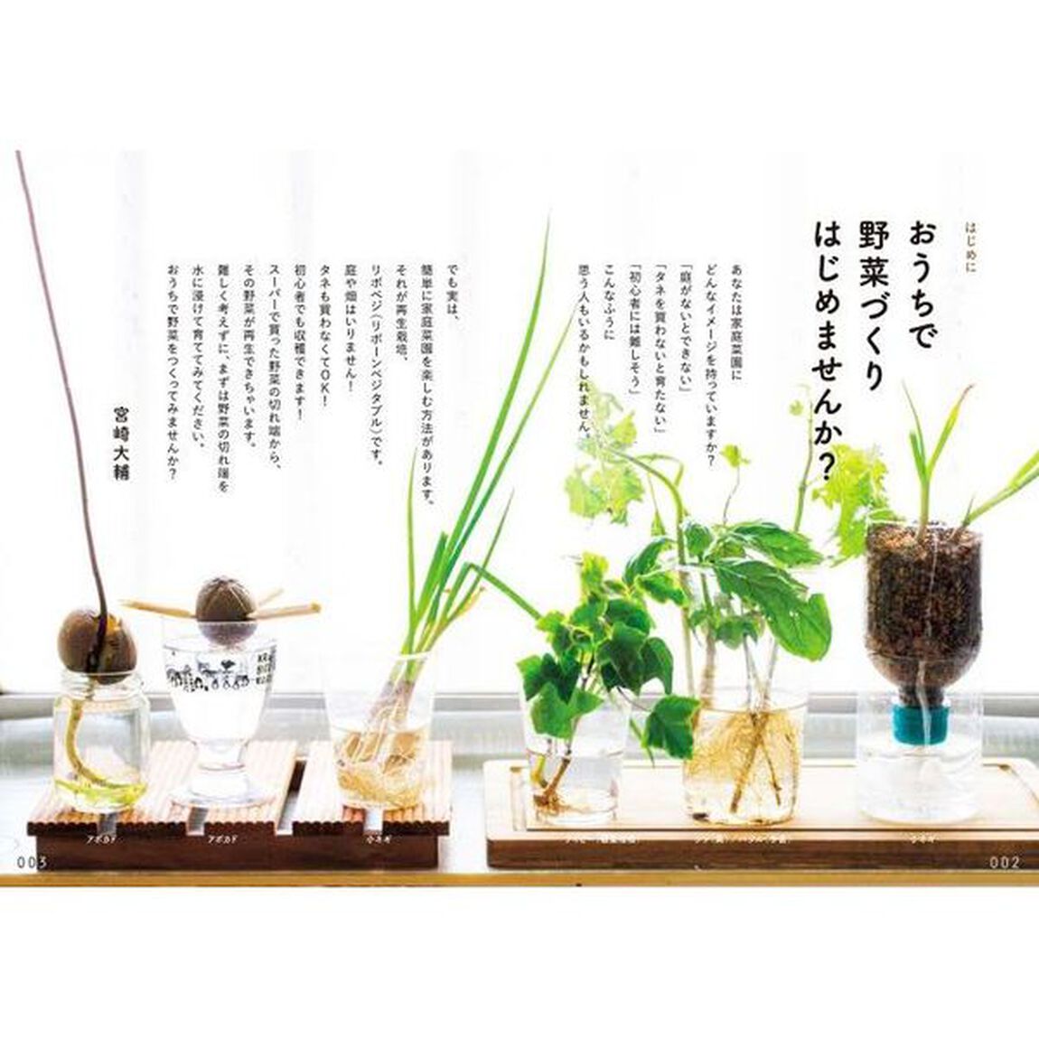 おうち野菜づくり　キッチンからはじめる！日本一カンタンな家庭菜園の入門本