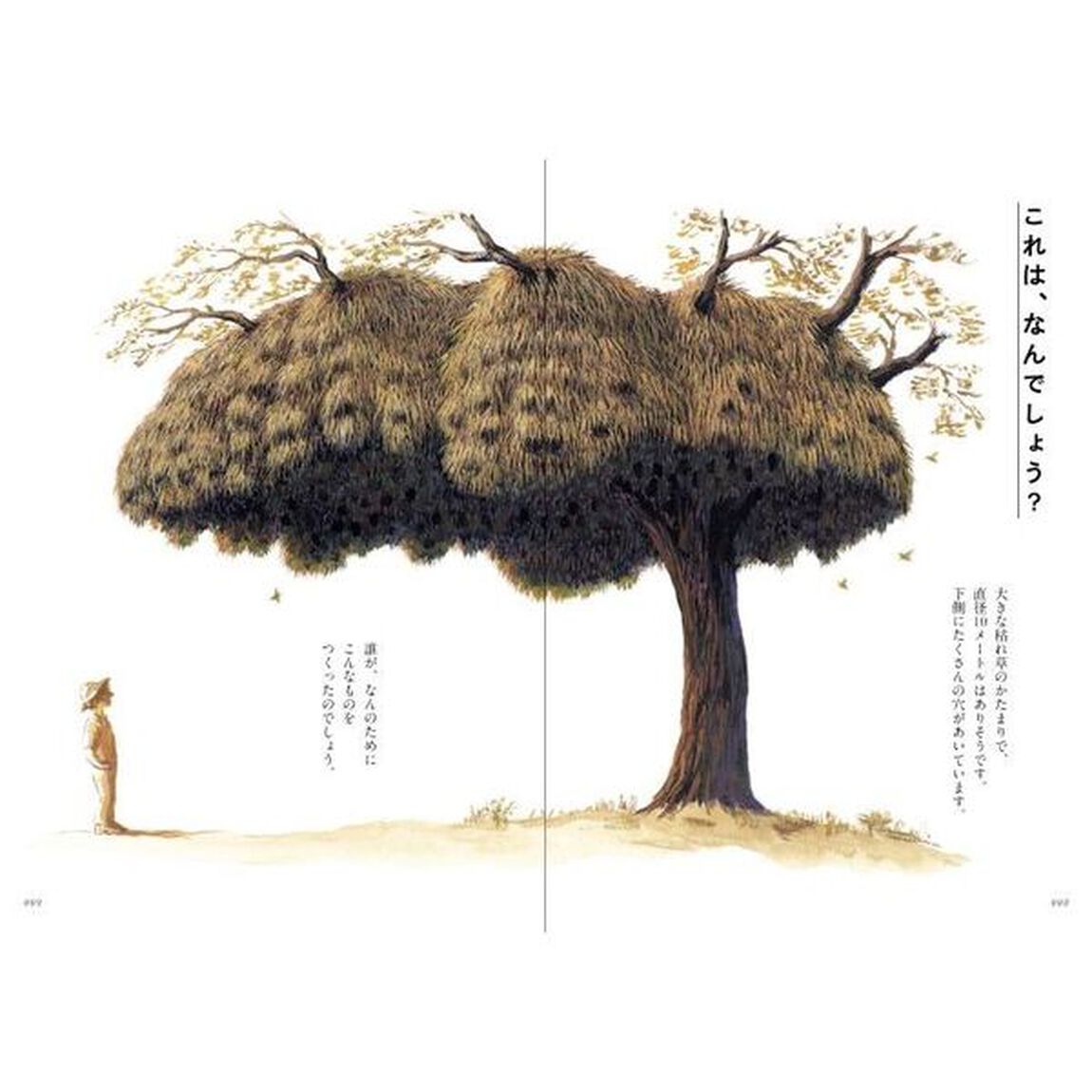 生きものがつくる美しい家　動物たちのすごい巣１２１