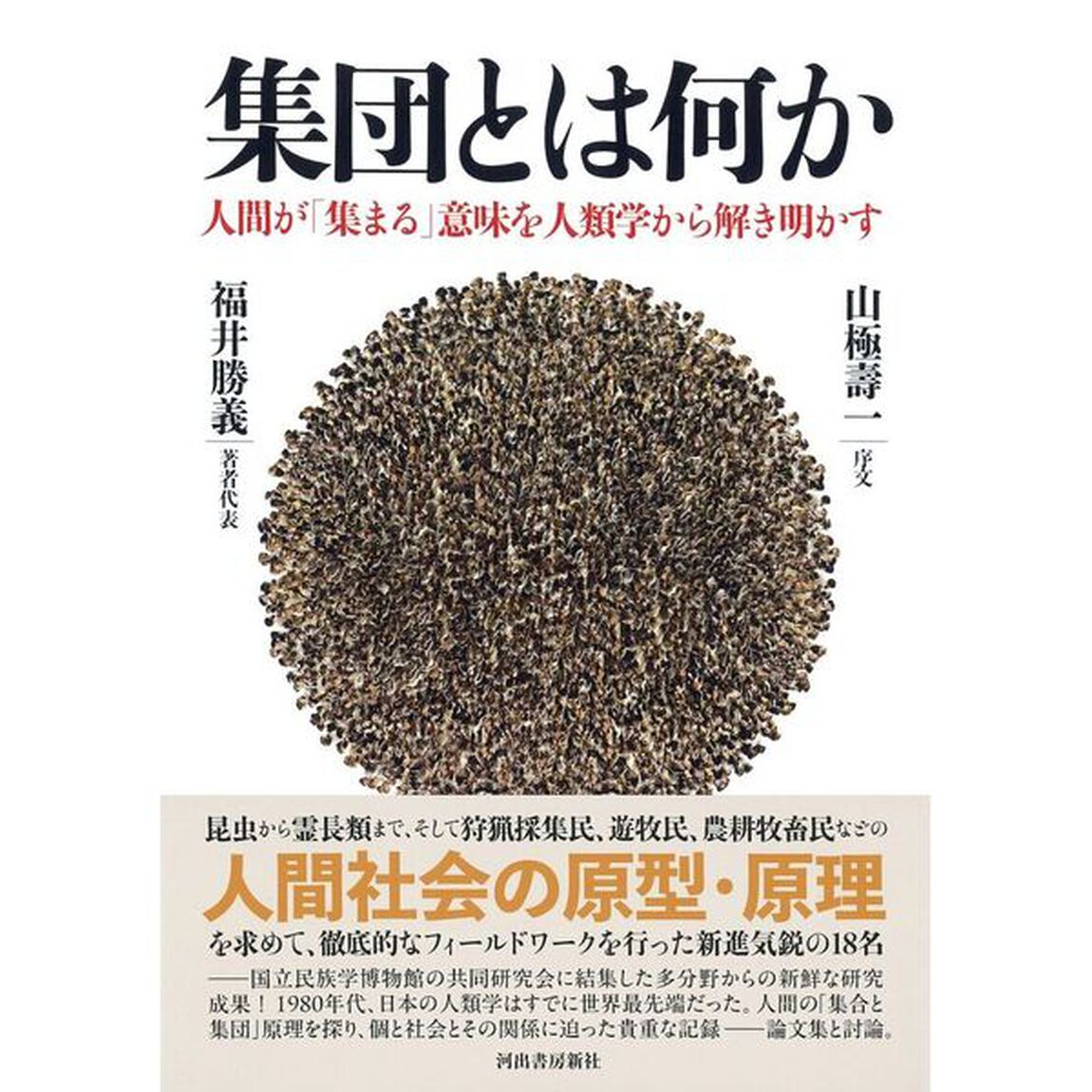 集団とは何か　人間が「集まる」意味を人類学から解き明かす