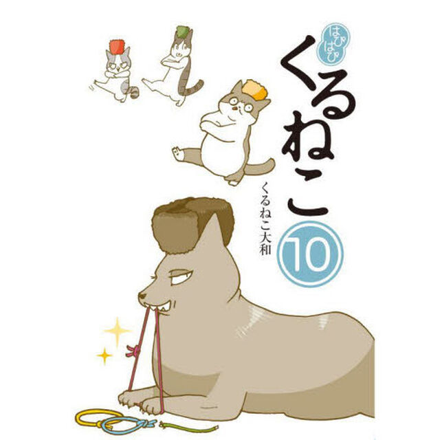 はぴはぴくるねこ　１０