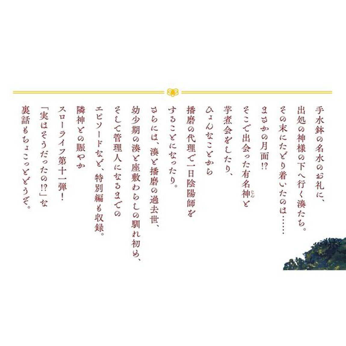 神の庭付き楠木邸 11