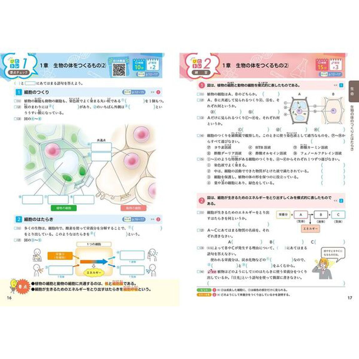 中学 教科書ぴったりトレーニング 理科２年 啓林館版