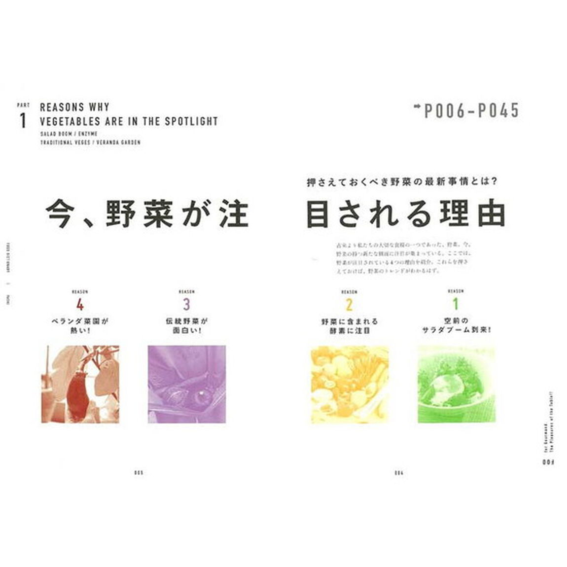 FOOD DICTIONARY 野菜