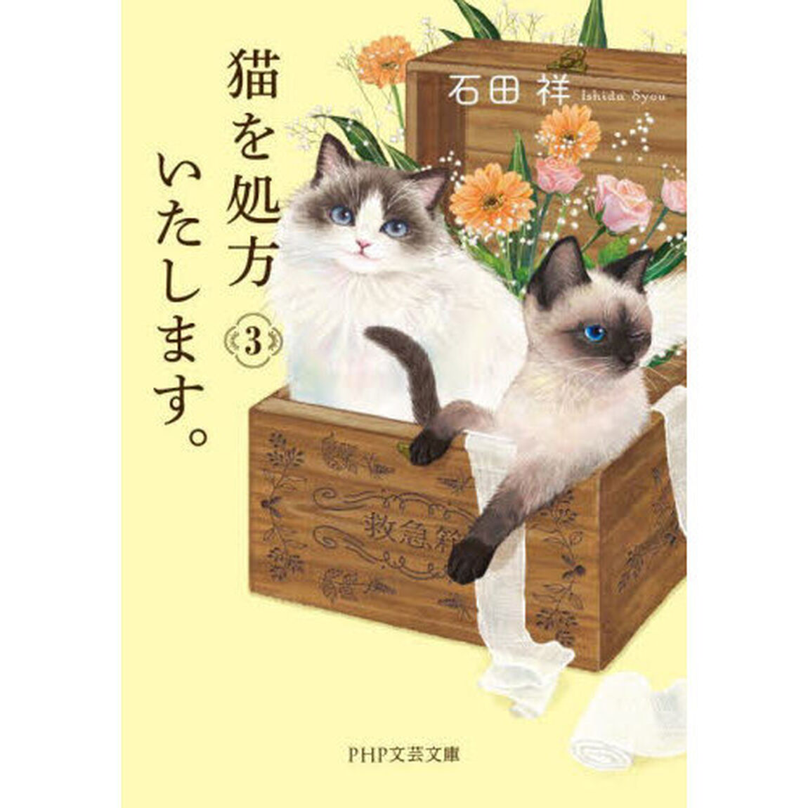 猫を処方いたします。　３