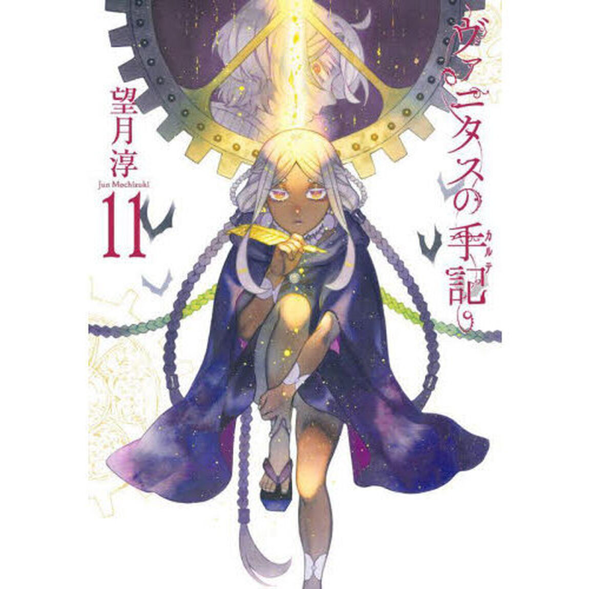 ヴァニタスの手記　１１