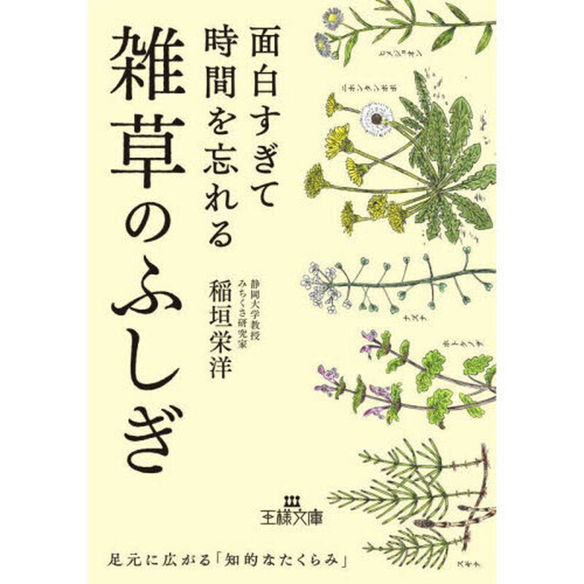 面白すぎて時間を忘れる雑草のふしぎ