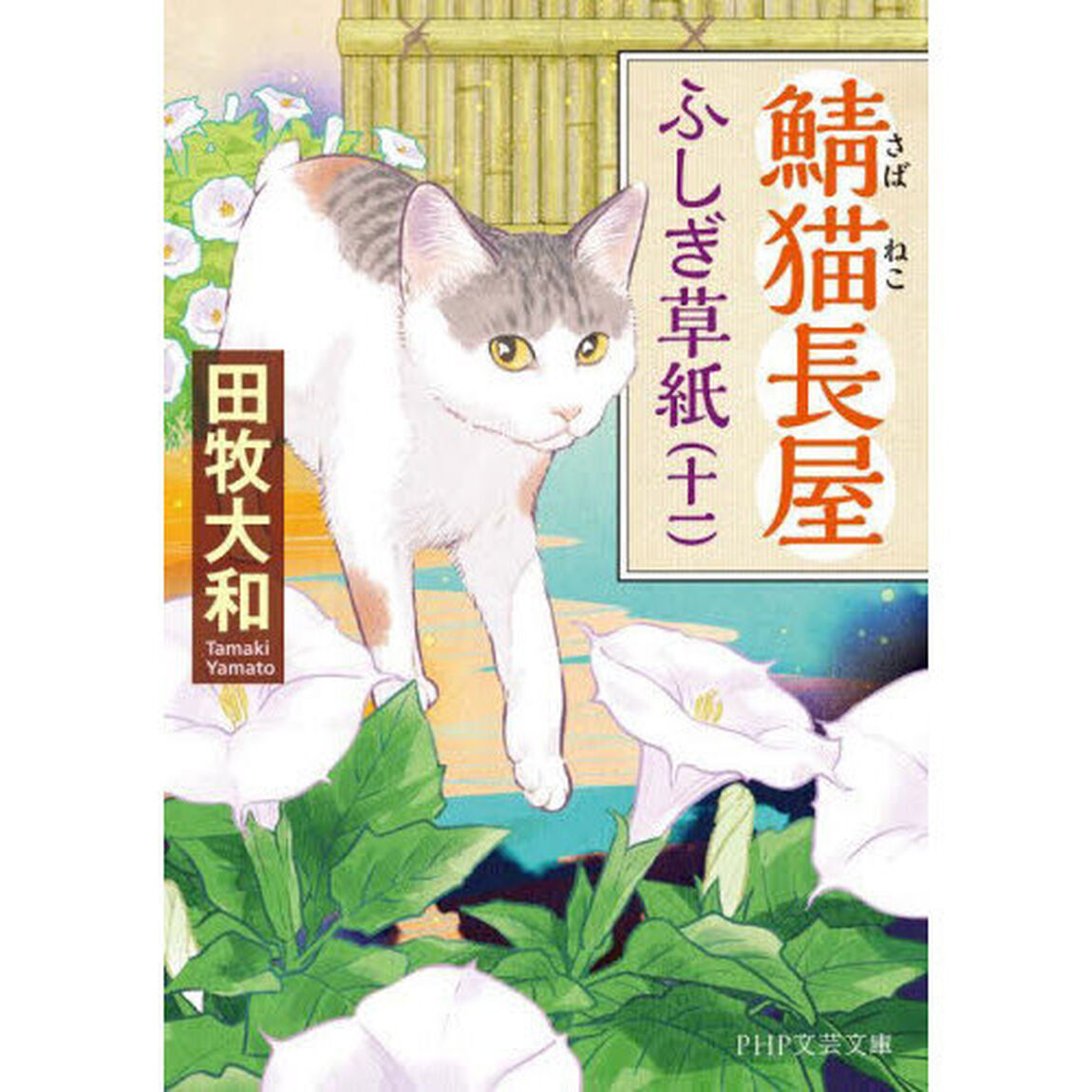 鯖猫長屋ふしぎ草紙　１１