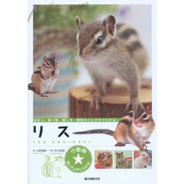 リス　住まい、食べ物、接し方、病気のことがすぐわかる！