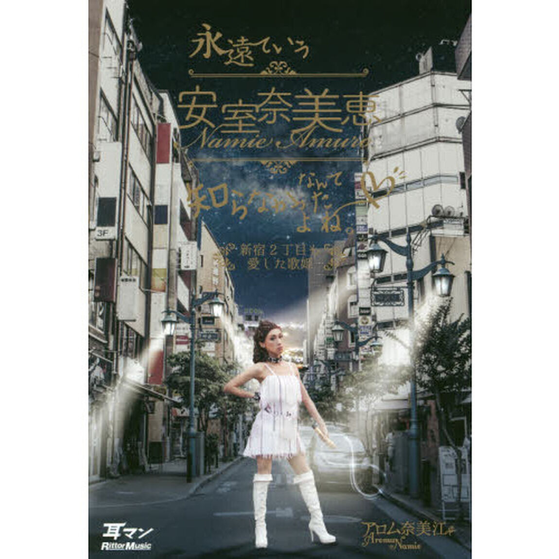 永遠ていう安室奈美恵なんて知らなかったよね。 新宿2丁目も愛した歌姫 (耳マン)