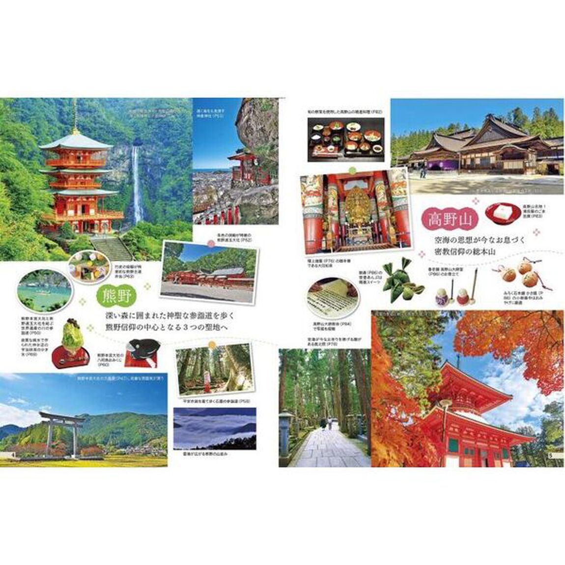 南紀白浜　熊野古道　高野山　〔２０２３〕