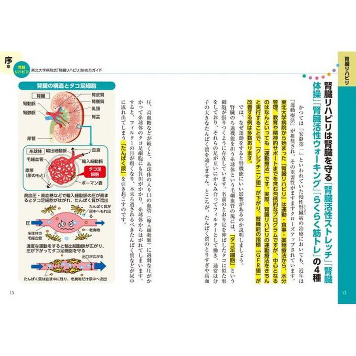 腎機能自力で強化！腎臓の名医が教える最新１分体操大全