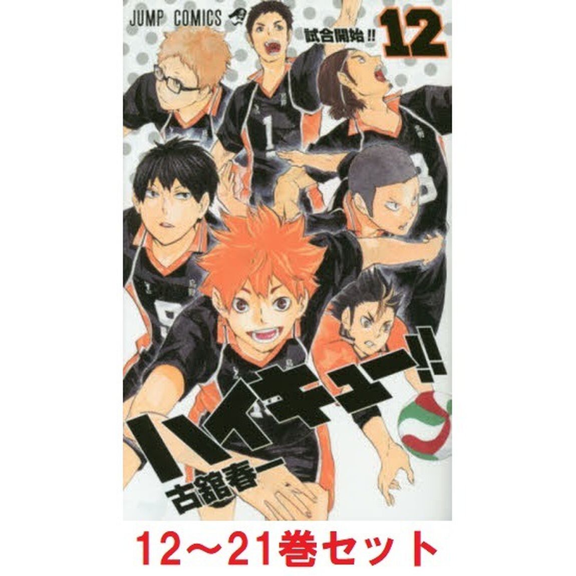 ハイキュー！！　１２〜２１巻セット