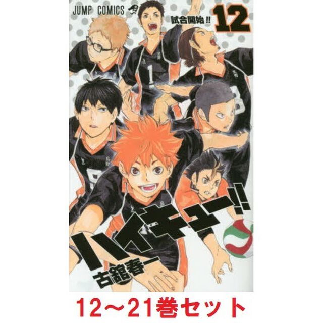 ハイキュー！！　１２〜２１巻セット