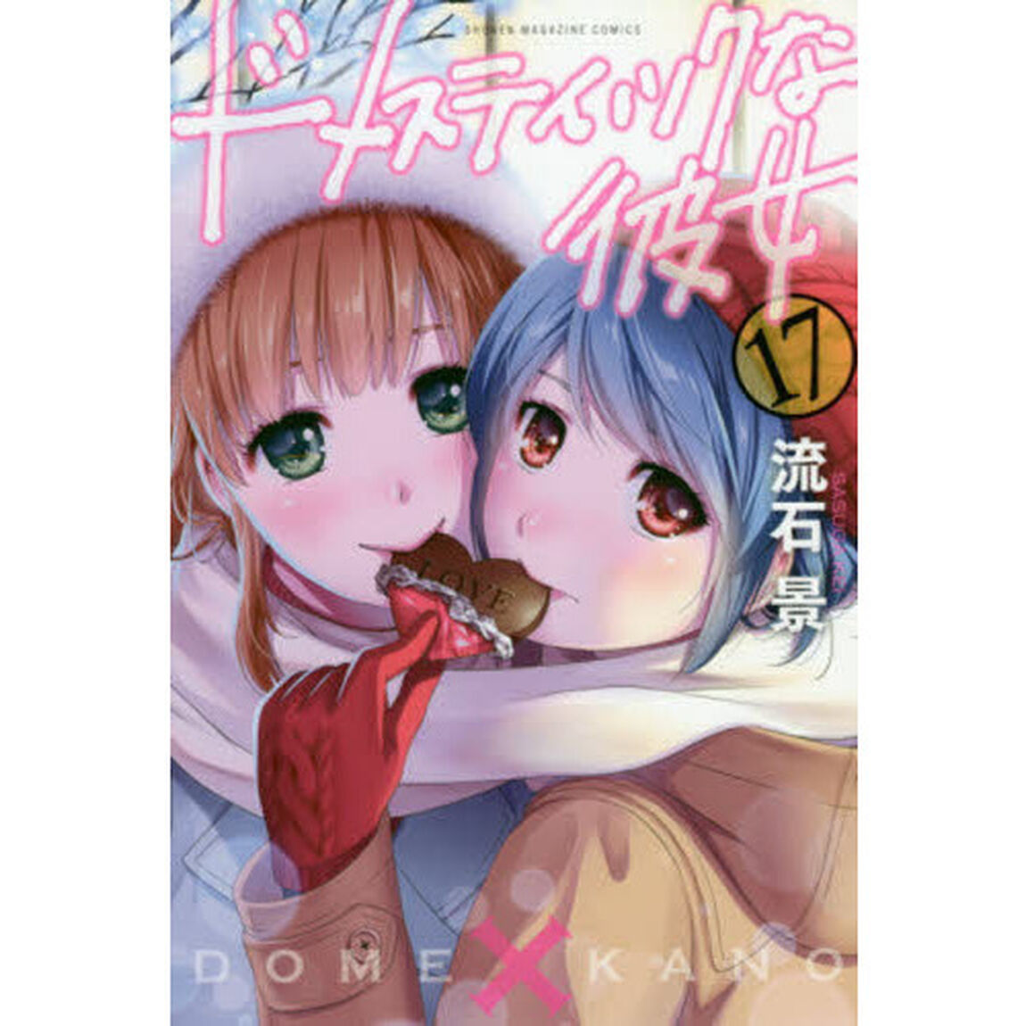 ドメスティックな彼女　１７