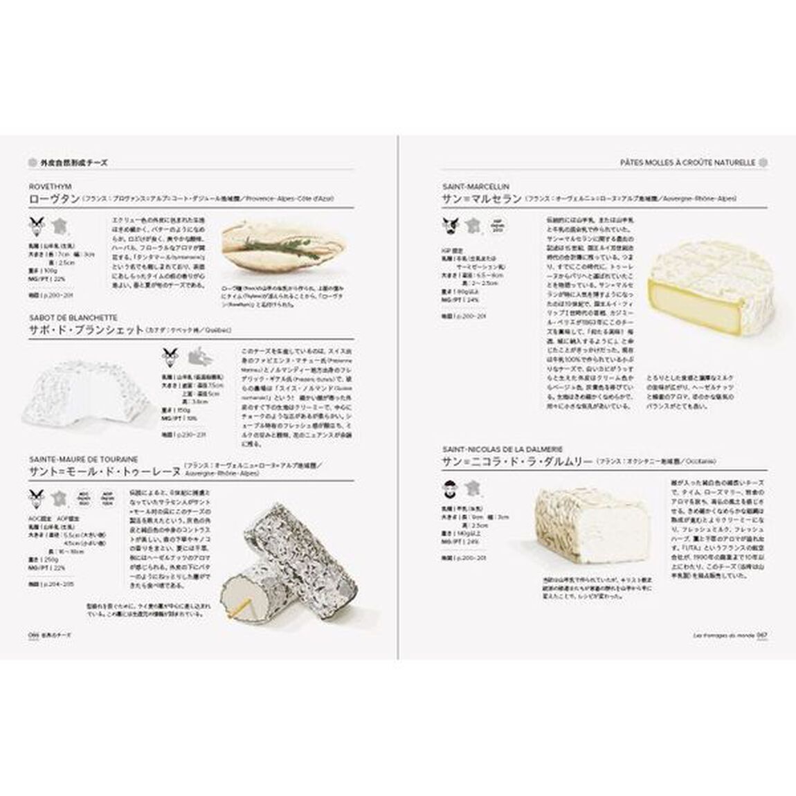 美しい世界のチーズの教科書