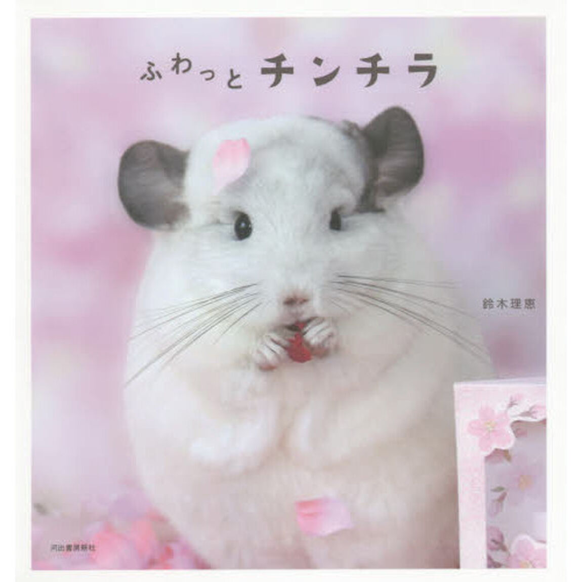 ふわっとチンチラ