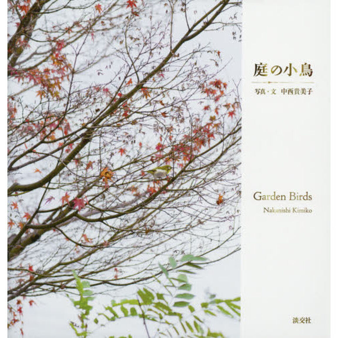 庭の小鳥
