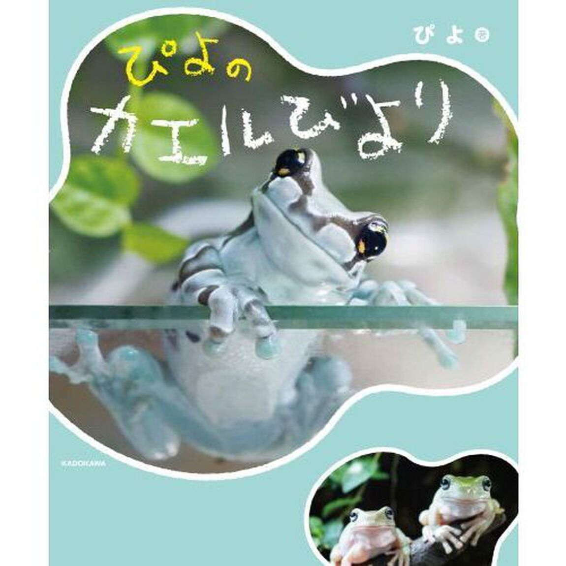 ぴよのカエルびより